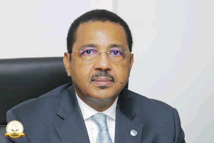 Dernière-minute : le ministre Mamadou Péthé Diallo limogé par Mamadi Doumbouya