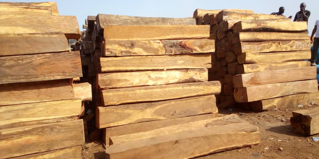 Environnement : Pourquoi le gouvernement a suspendu la coupe, le transport et l&rsquo;importation du bois ?