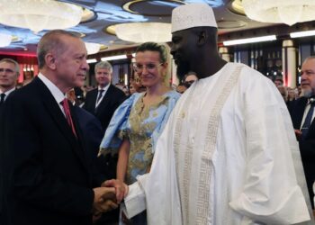 Présidentielle 2025 en Guinée : le président turc félicite Mamadi Doumbouya