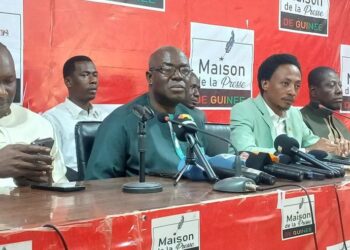 Création de GMD : Dr Faya Millimouno alerte sur un risque de “parti-État” avant les élections…