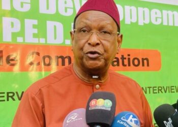 Élections à venir en Guinée : Lansana Kouyaté n’exclut pas une participation du PEDN