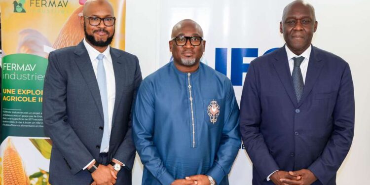 Agro-industrie : IFC finance un projet avicole de SONOCO à hauteur de 20 millions de dollars