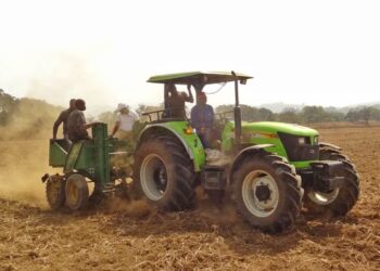 Campagne agricole 2026 : focus sur les chiffres du coton et de l’hévéa