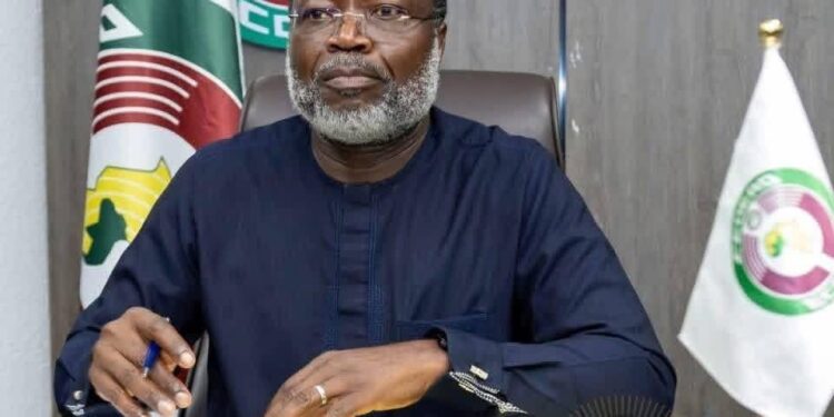 Attaques au Mali : la CEDEAO condamne et appelle à une action collective