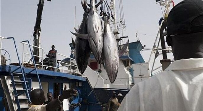 Guinée : la pêche représente 4,5 % du PIB et 300 000 emplois