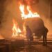 Mamou (Timbo) : un camion-citerne chargé de carburant se renverse et prend feu