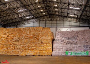 Entrepôts alimentaires : après l’inauguration d’un site de 40 000 tonnes, le secteur privé guinéen demande de nouveaux espaces