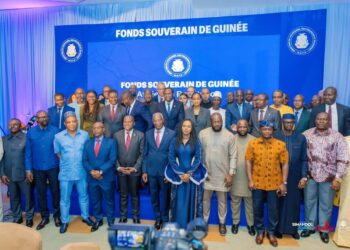Fonds Souverain de Guinée : les travaux préparatoires présentés aux acteurs économiques